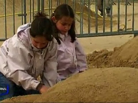 Kid's folies : Sculpture de sable (St Jean-De-Monts)