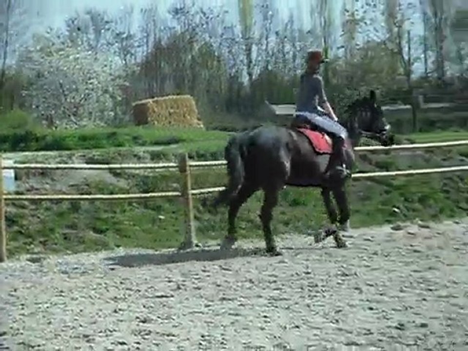 SAM_0337 - Copie