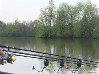 départ de carpe en direct