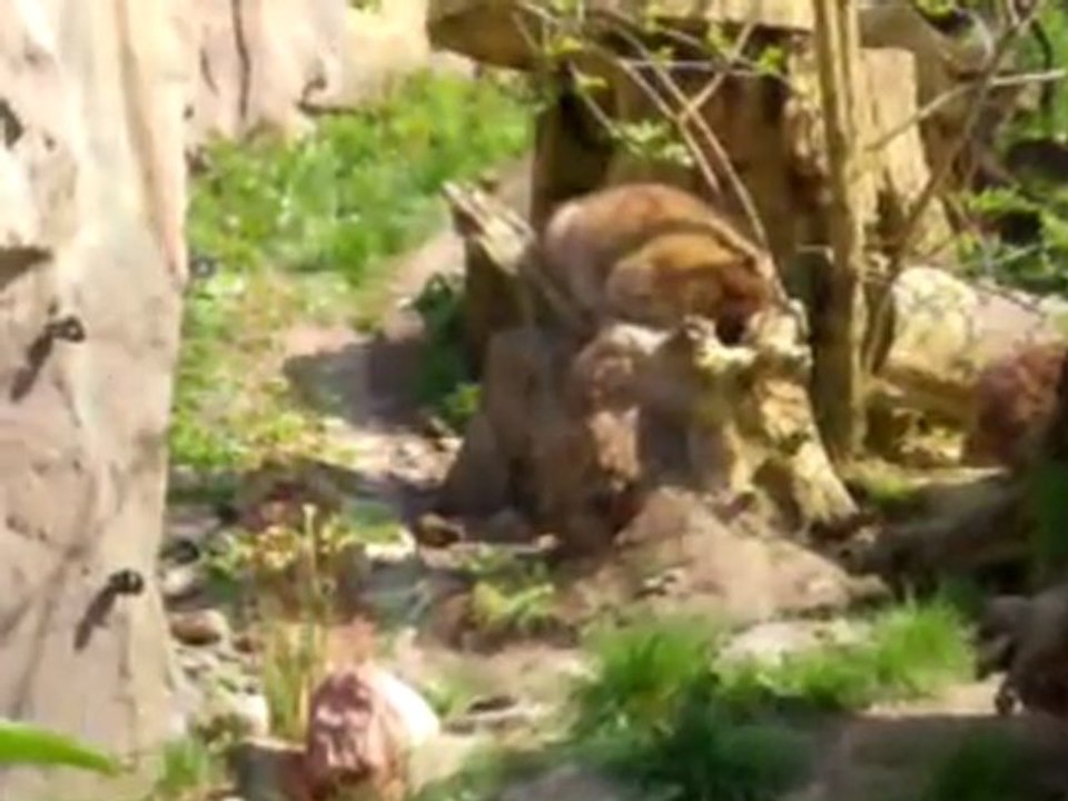 Nedim varol dan  ( Almanya hatıraları ) 2010