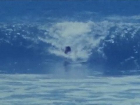 Spat Dailies/Super 8 Body Surfs/03.10.10