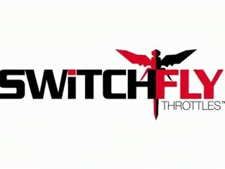 Switchfly™ 3D Character and Branded Logo