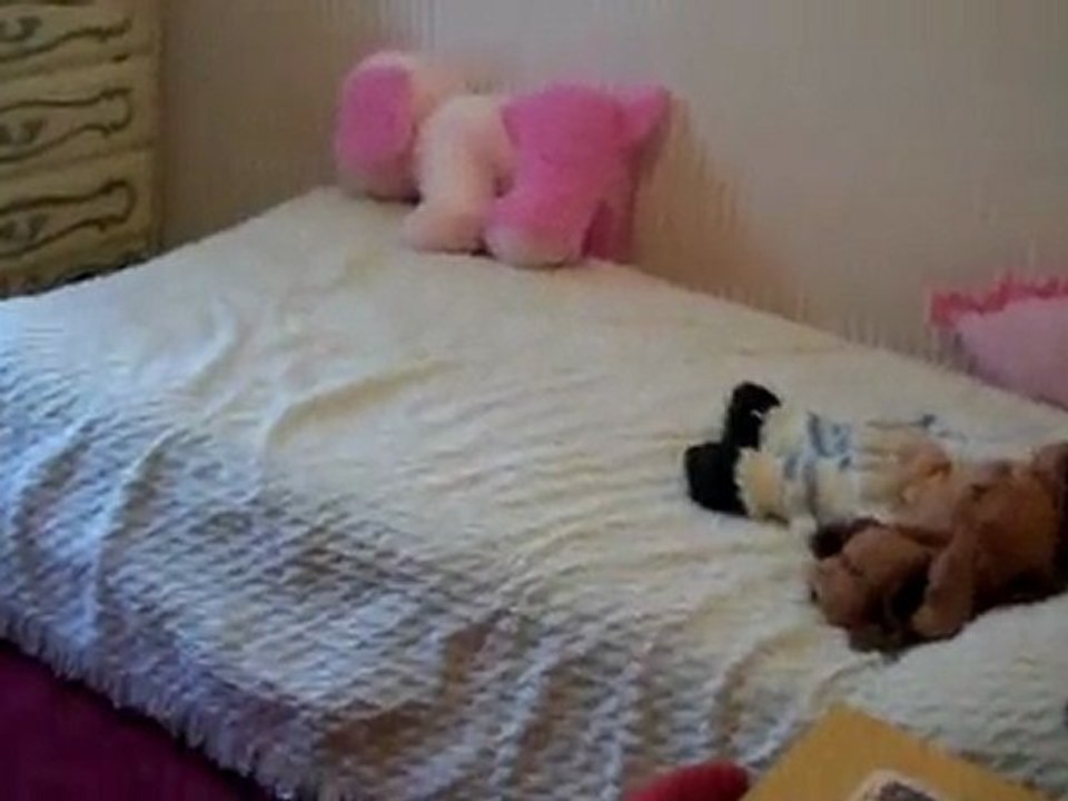 Charming Home on nearly 7 acres near Lawton, MI