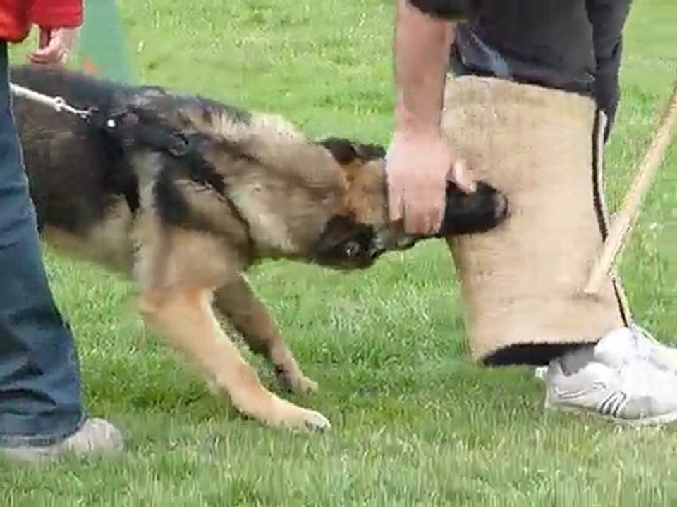 Boomer et Erkan 012