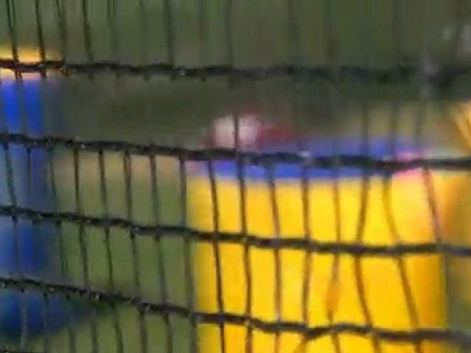 Paintball Amazones Cup:  Golden Hawks vs Scalp 5 / Match 3