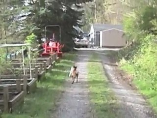 ARF Finnegan's First Fetch