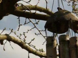 test7D-prores-1-QuickTime H.264