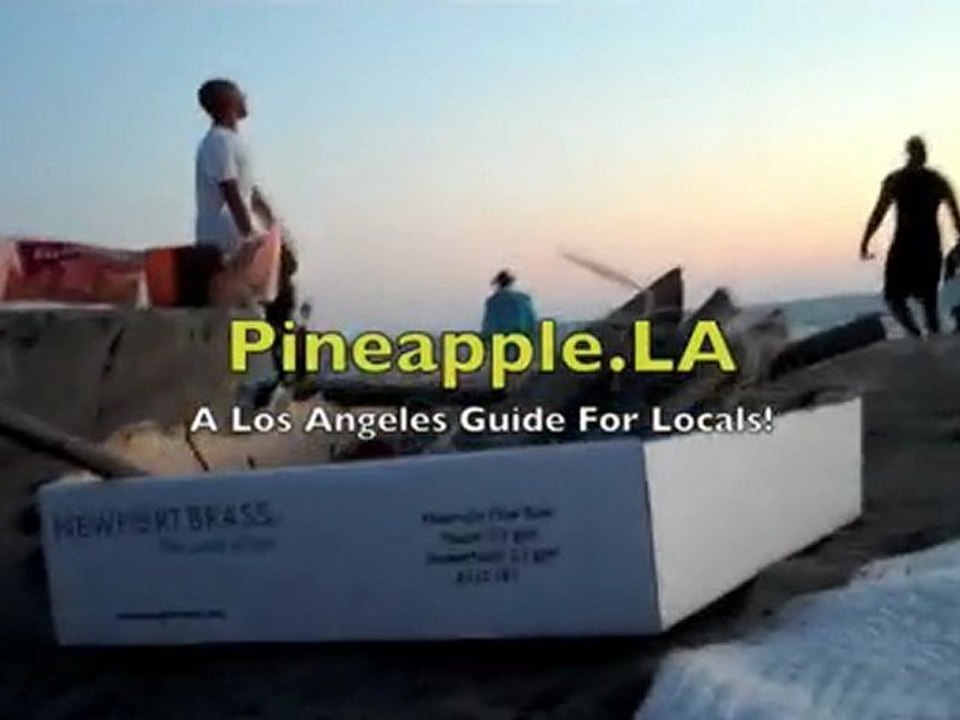 Dockweiler State Beach, Playa Del Rey, CA