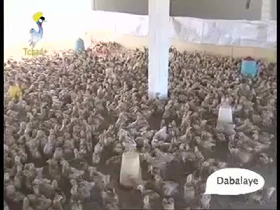 DABALAYE -III- FRANCAIS DU 20/04/2010 TCHADONLINE.TV