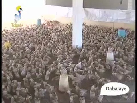 DABALAYE -III- FRANCAIS DU 20/04/2010 TCHADONLINE.TV