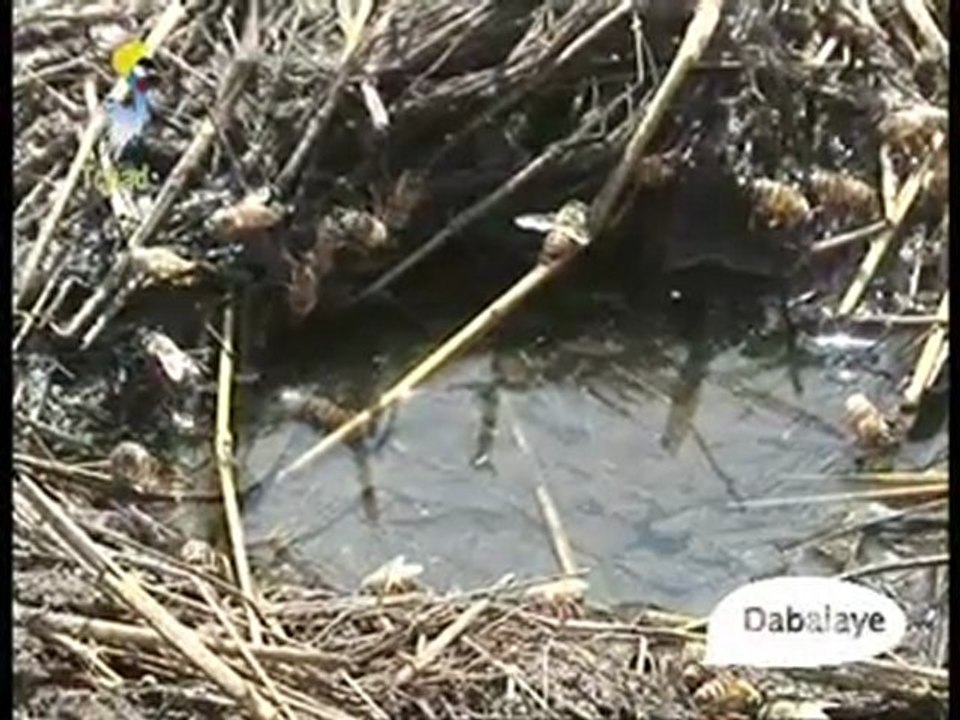 DABALAYE -IV- FRANCAIS DU 20/04/2010 TCHADONLINE.TV