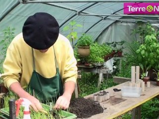 Recyclez vos rouleaux en carton !