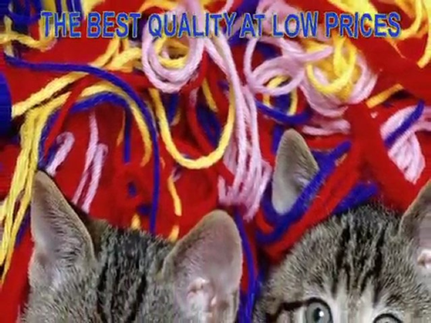 ⁣Pet Pet Supplies Online Superstore