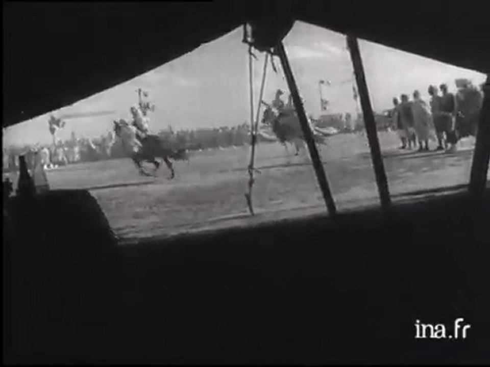 Tunisie Politique Les Nouveaux Collabos