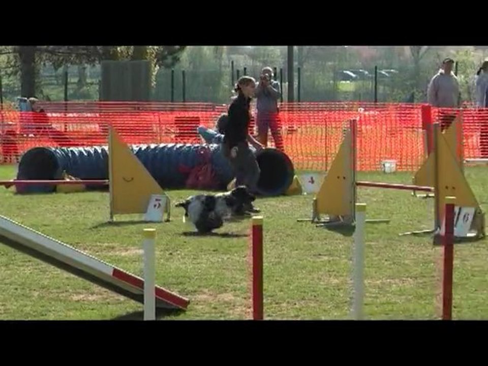 concours de Thionville agility c'ven