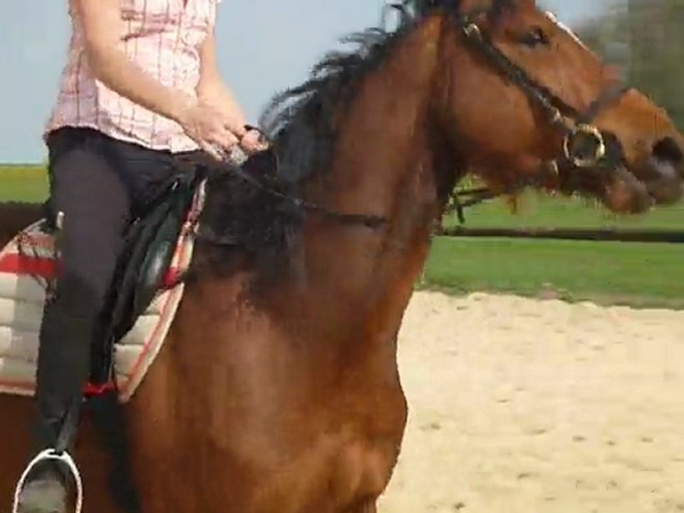 20 avril 2010