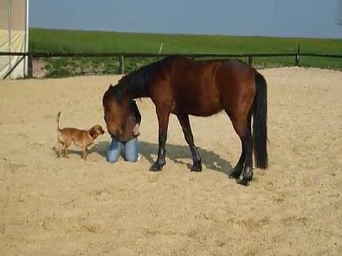 20 avril 2010 - à pied avec tata klerette