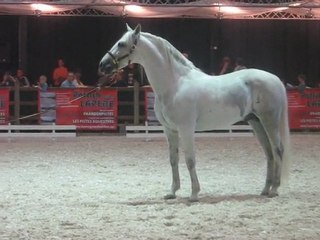 salon du cheval 2009 2eme vidéo