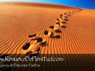 Videos Cristianos - Hoy caminare en confianza aunque no sep