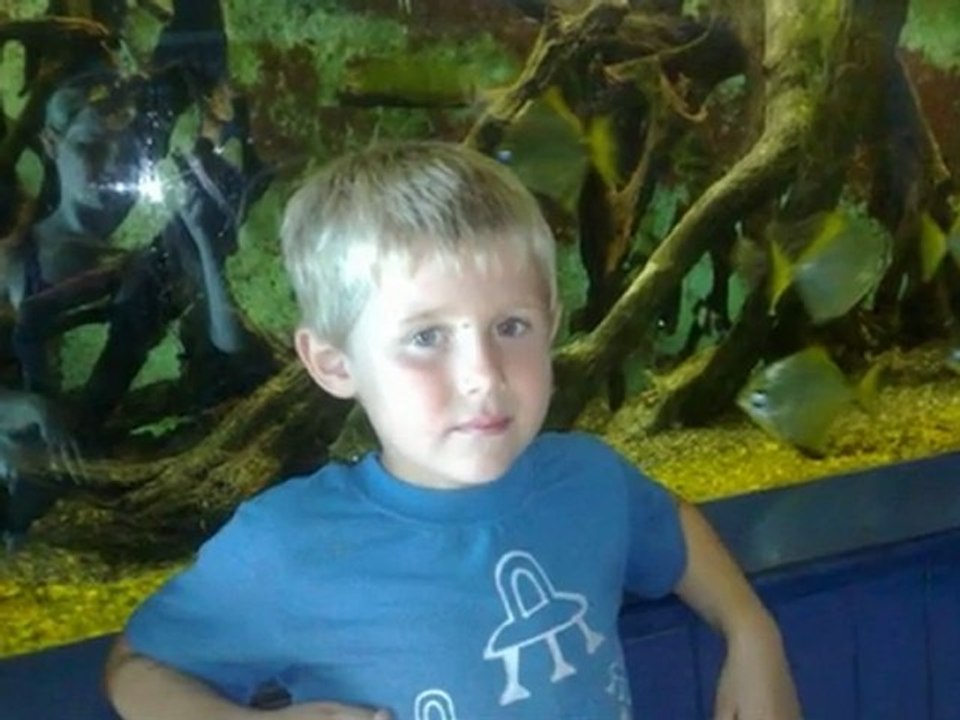 Sous une pluie d'étoiles