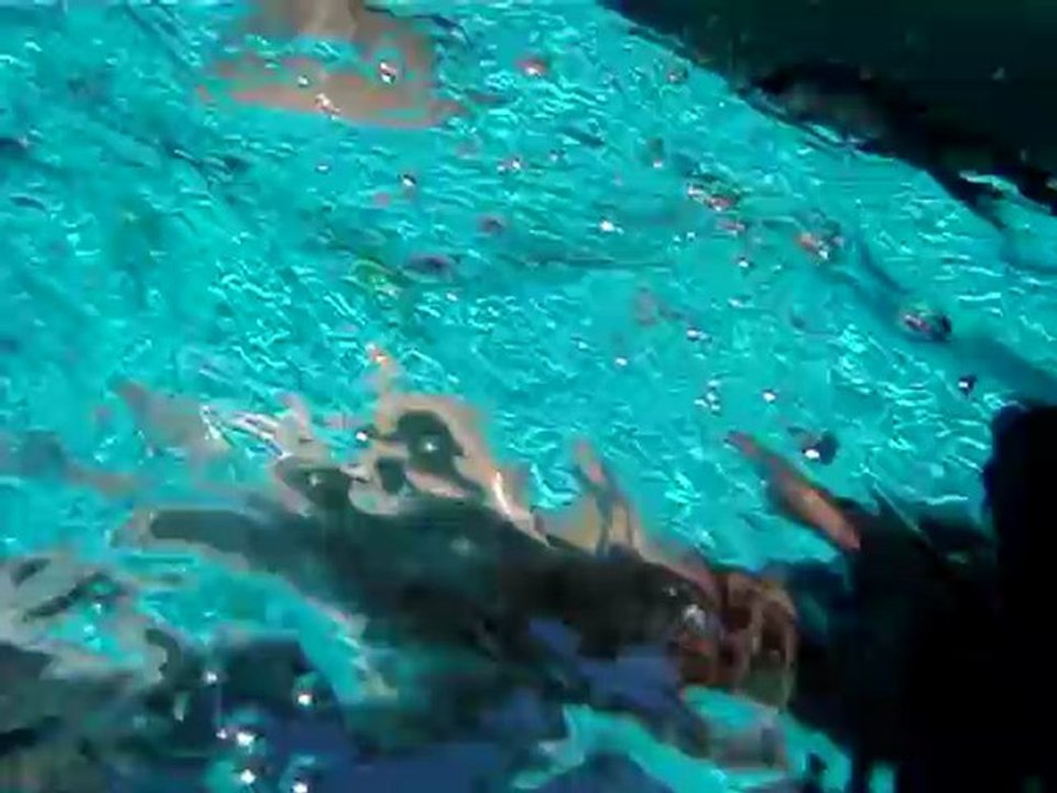 water training