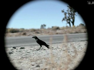 RUBBER : Bande-annonce [HD-VO]