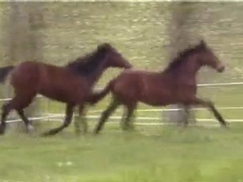 Varech de Vie 3 210410