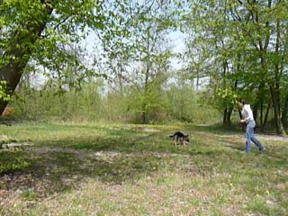 Jeux et course poursuite (2)