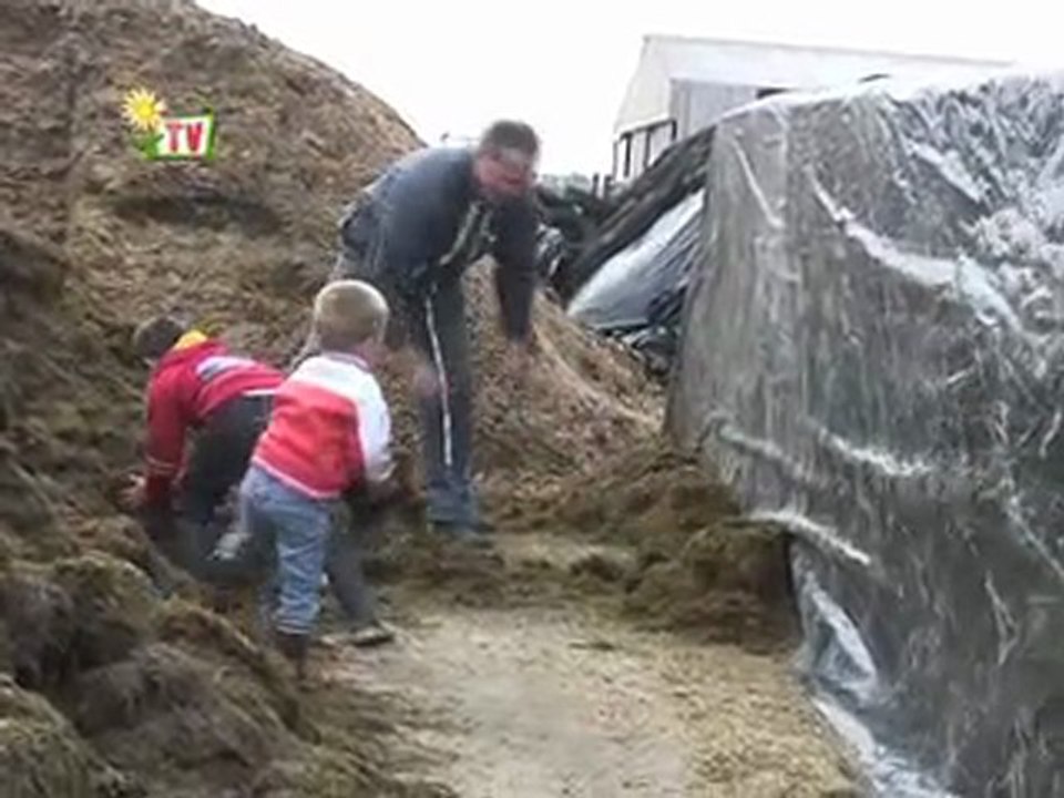 Livraison fourrage dans le marais breton
