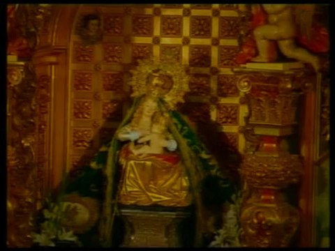 Romería Virgen del Puerto 2010 (1)