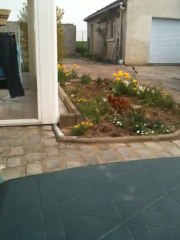 Michka N'aime Pas Les Tulipes