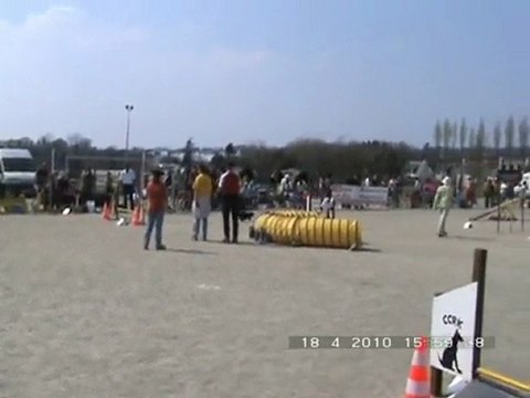 BASTIAN ET CHOUPETTE AGILITY RELECQ KERHUON 1