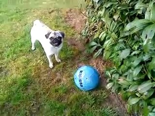 Eva et gros ballon bleu