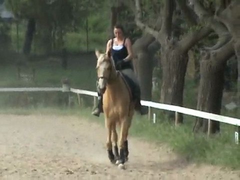 leçon dressage 21 avril 2010 part2