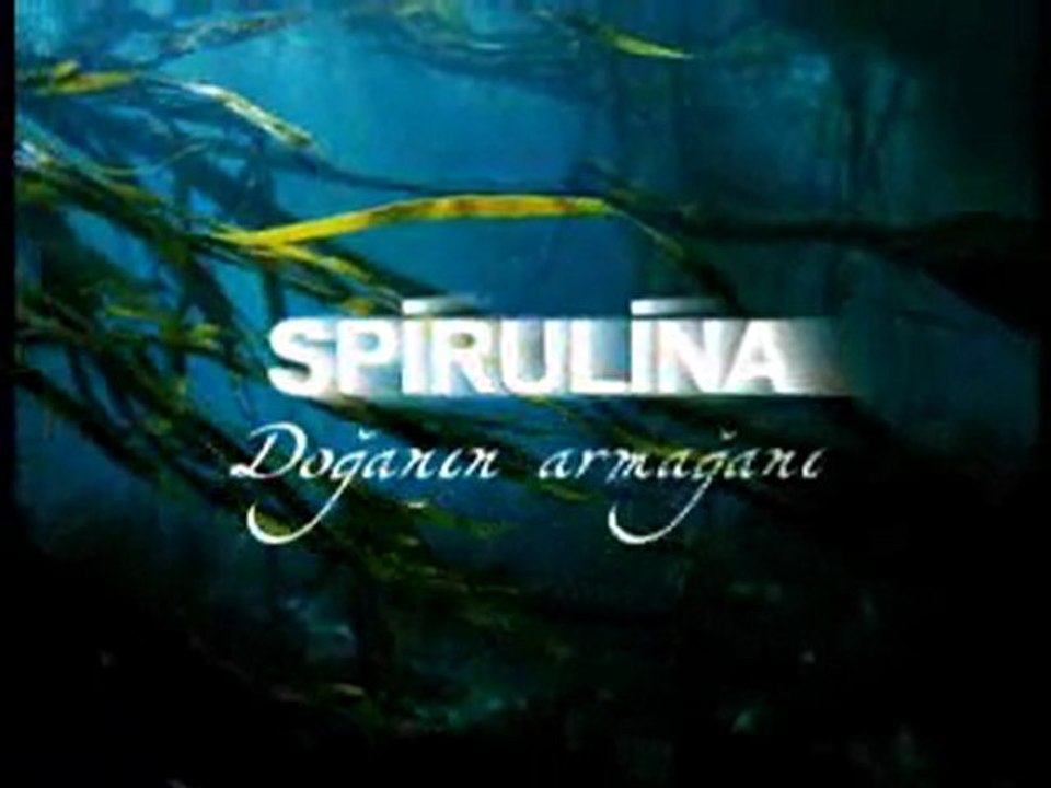 SSP