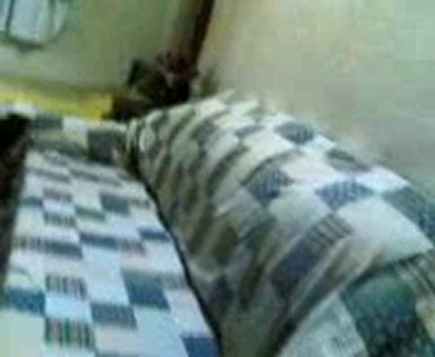 abid
