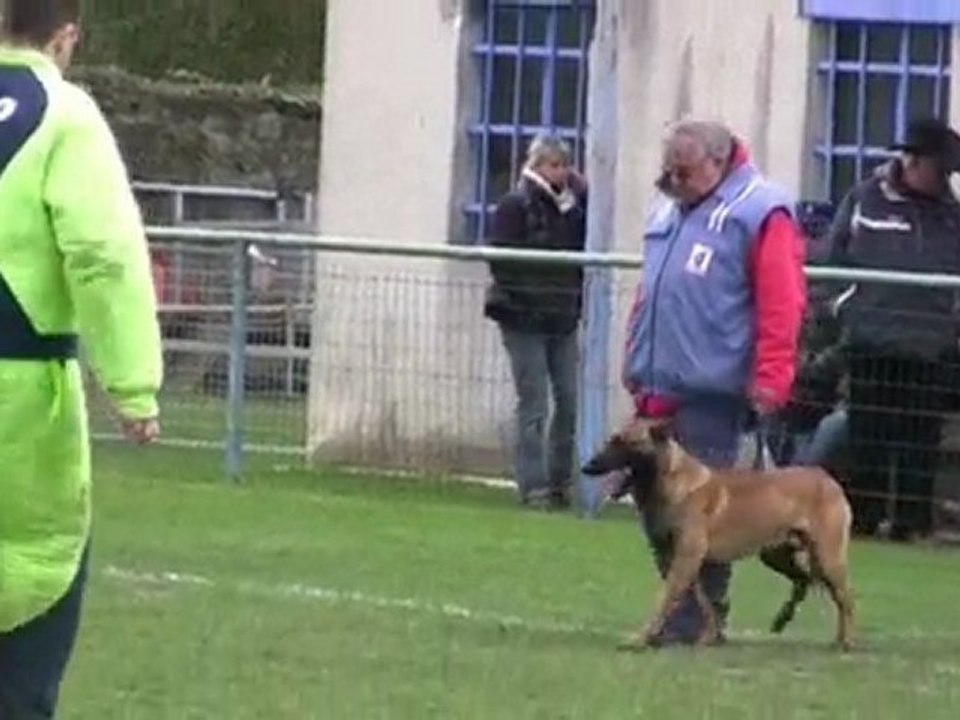 Premier selectif 2010 ring morceaux choisis