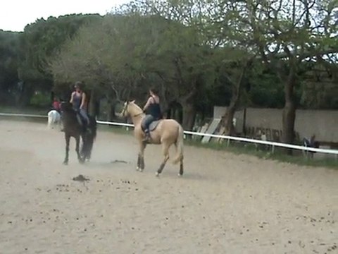 leçon dressage 21 avril 2010 part3