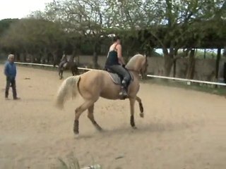 leçon dressage 21 avril 2010 part4