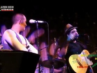 TROPICÁLIA BAND NO TEXAS BAR CLUB 5