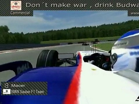 F1 Liga Rennen in Spa Francorchamps 2010