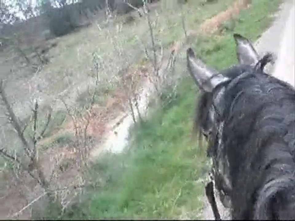 balade du 20 avril 2010