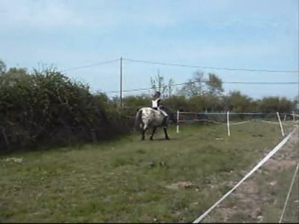 Cordelette Avec Obé