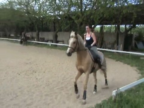 leçon dressage 21 avril 2010 part7