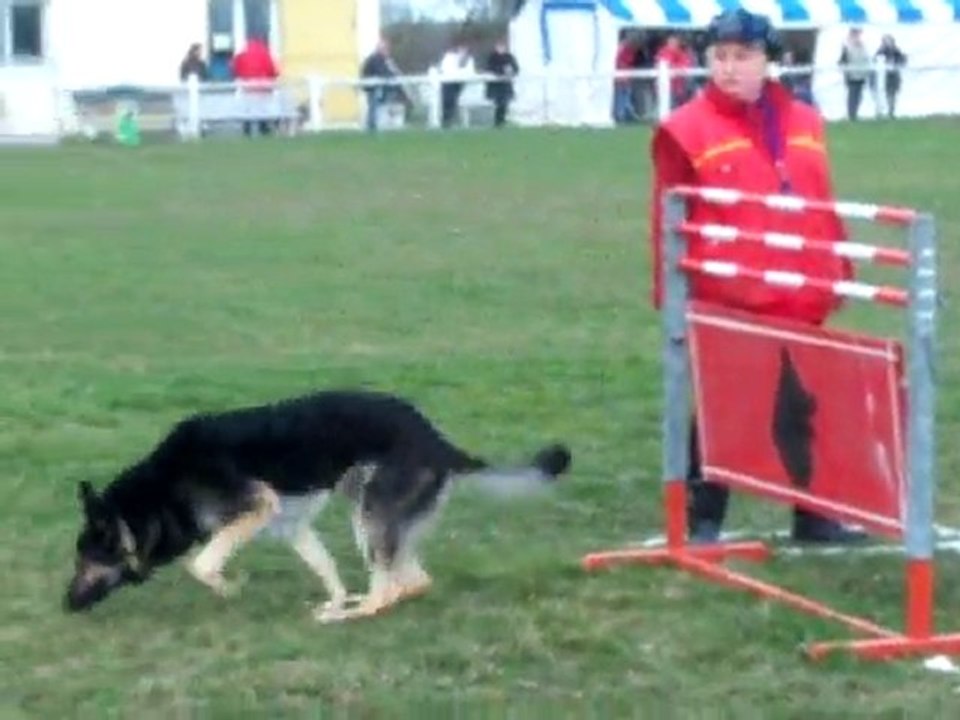 Boomer 2ème ring 2 Cholet