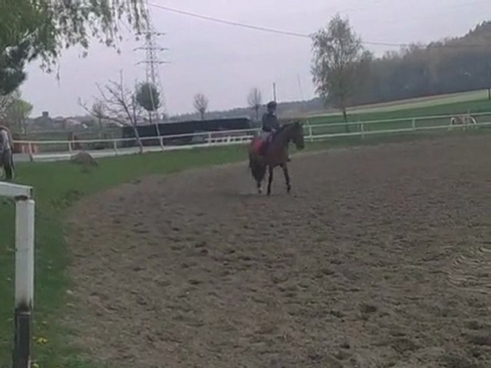 cours pour balou avec sandy a l extérieur