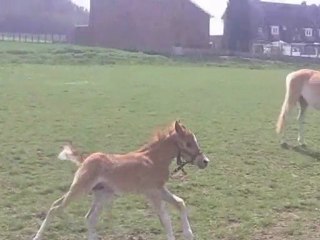 18 éme jour de vie de spirit