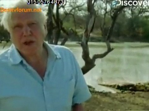 Life in Cold Blood [Armoured Giants] - 21st April 2010 Pt2