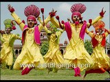 online punjabi dance moves lessons