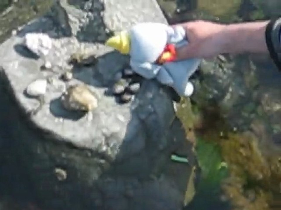 Breitz aventuriers, vidéos de l'interview , équipe rouge